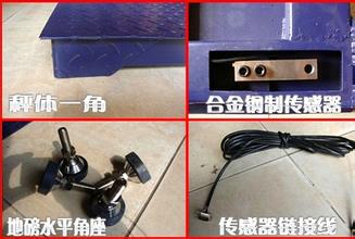 電子地磅秤